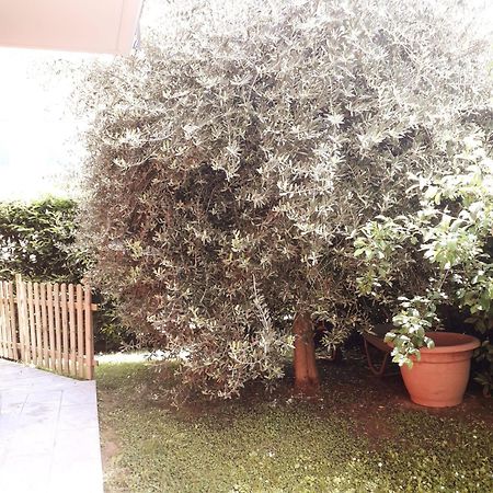 Bed and Breakfast Beb Ulivo Santa Giuletta Экстерьер фото