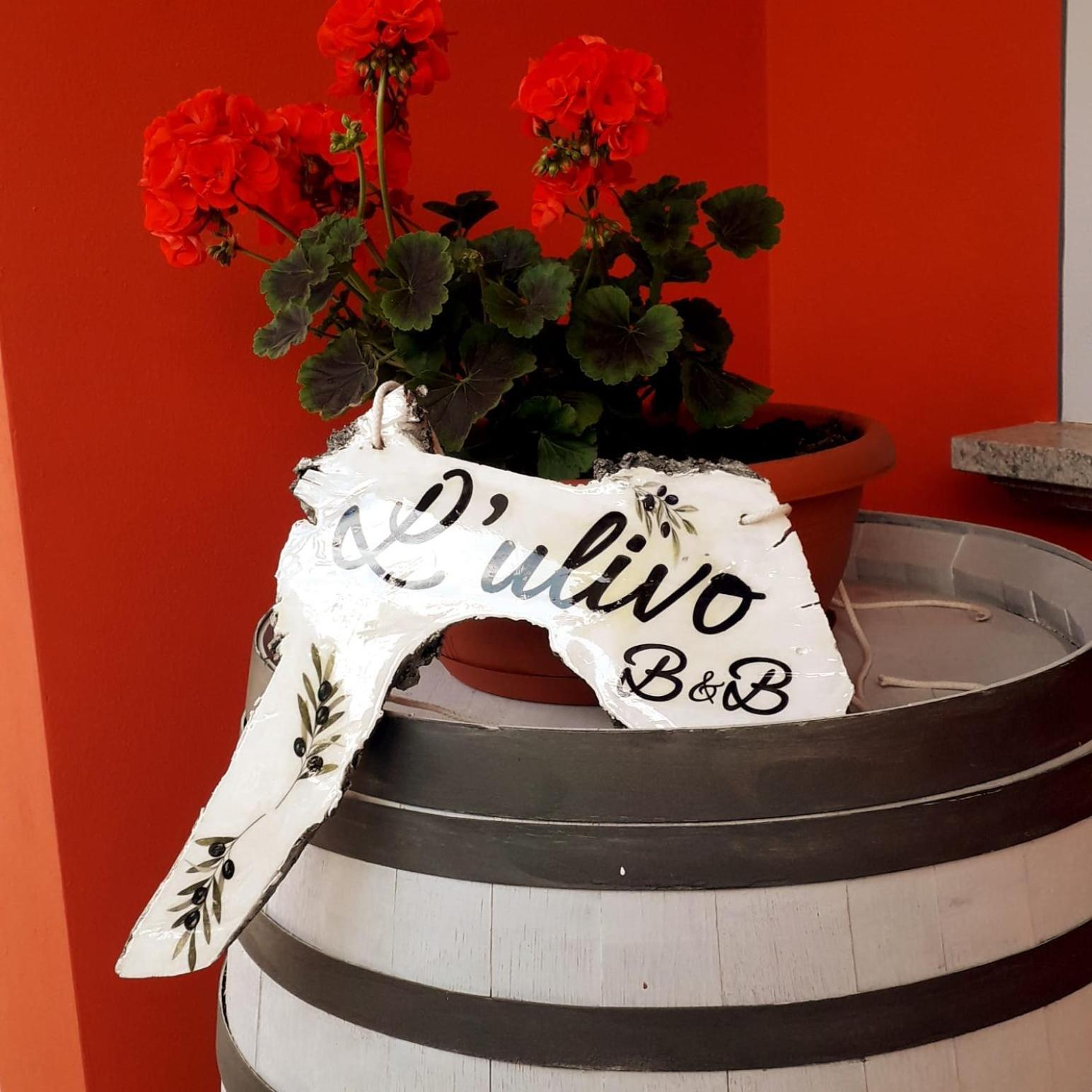 Bed and Breakfast Beb Ulivo Santa Giuletta Экстерьер фото