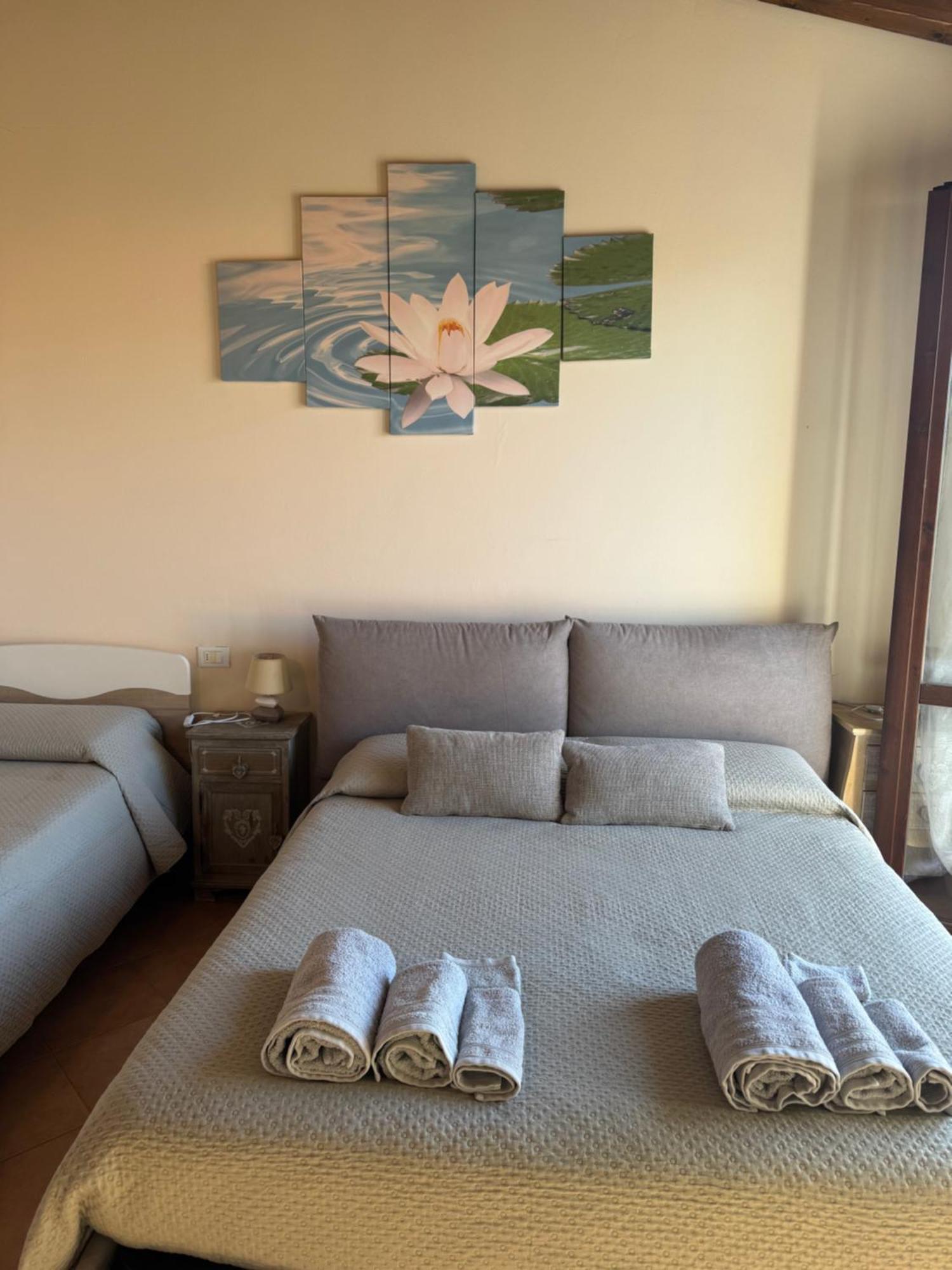 Bed and Breakfast Beb Ulivo Santa Giuletta Экстерьер фото